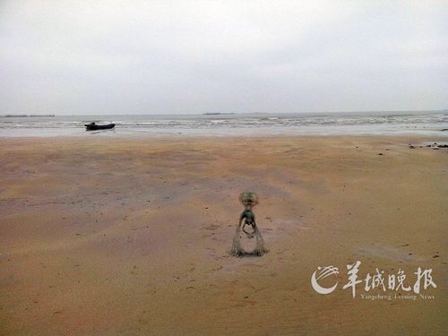游客在广东意外拍摄到疑似外星人和UFO照片(图)
