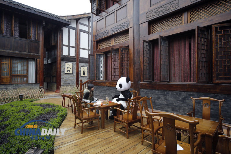 全球首家熊猫文化主题酒店亮相四川峨眉山(组