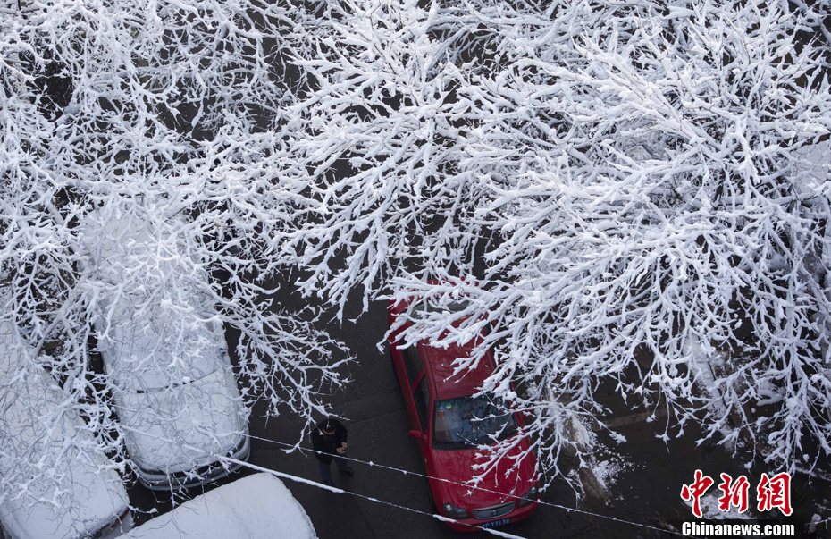 北京大雪迎春分