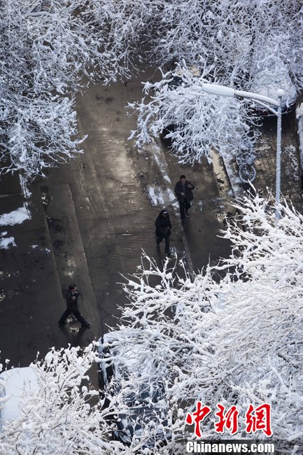 北京大雪迎春分