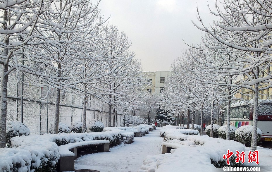 北京大雪迎春分