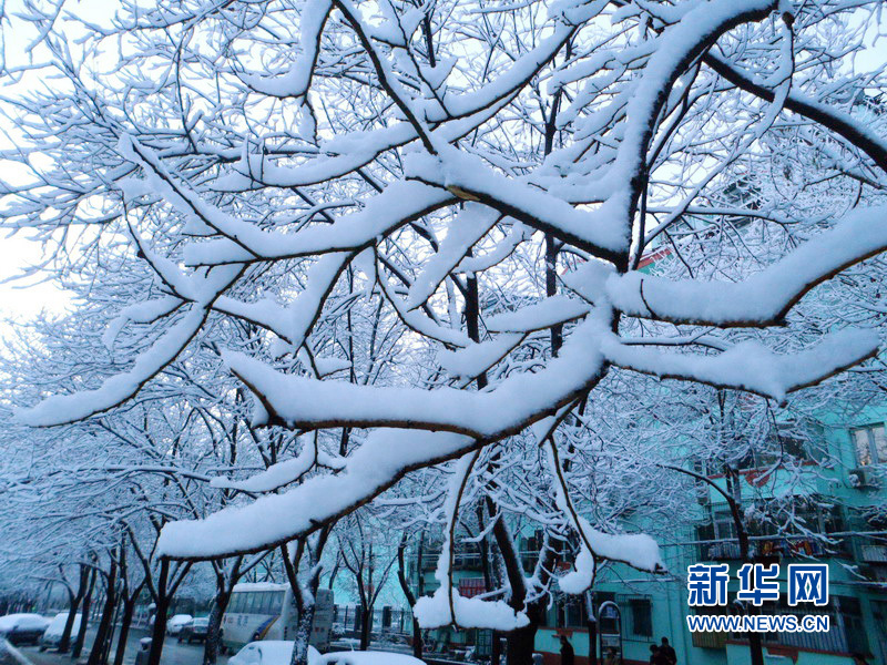 北京大雪迎春分