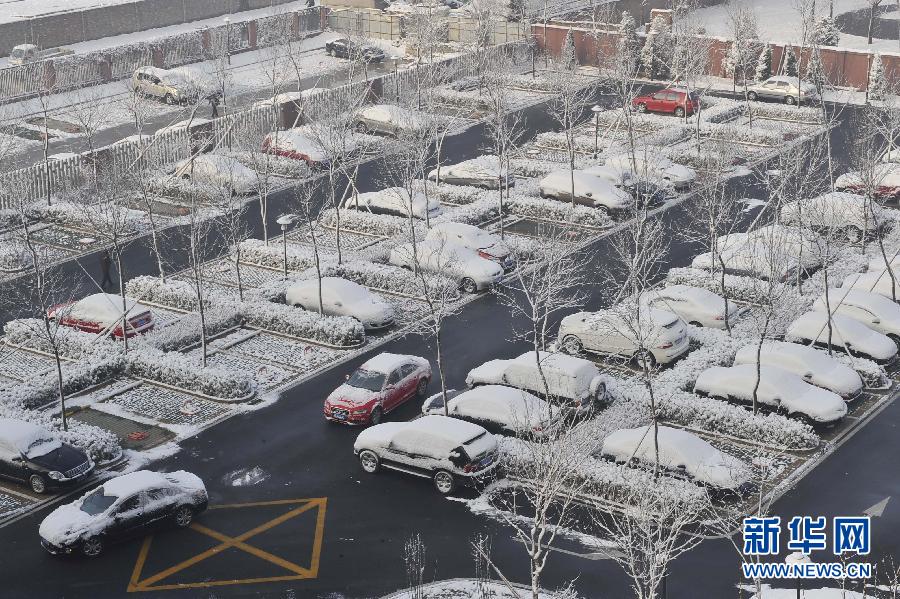 京城降雪迎春分 银装素裹如童话世界