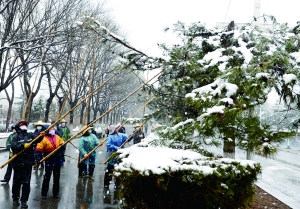网友吐槽北京降“土加雪”：路边汽车泥痕明显