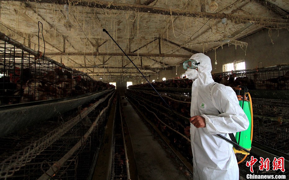 安徽举行人感染H7N9禽流感应急演练