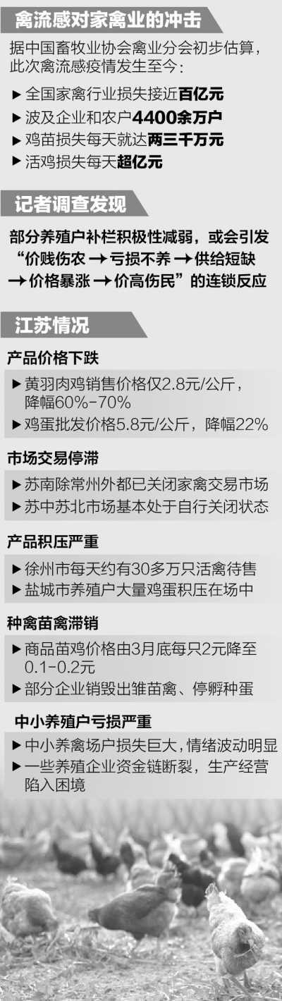 多地禽肉类价格大幅下挫 关联企业纷纷亏损