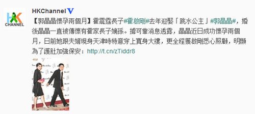 媒曝郭晶晶已怀孕两月 霍震霆大笑默认喜讯(图)