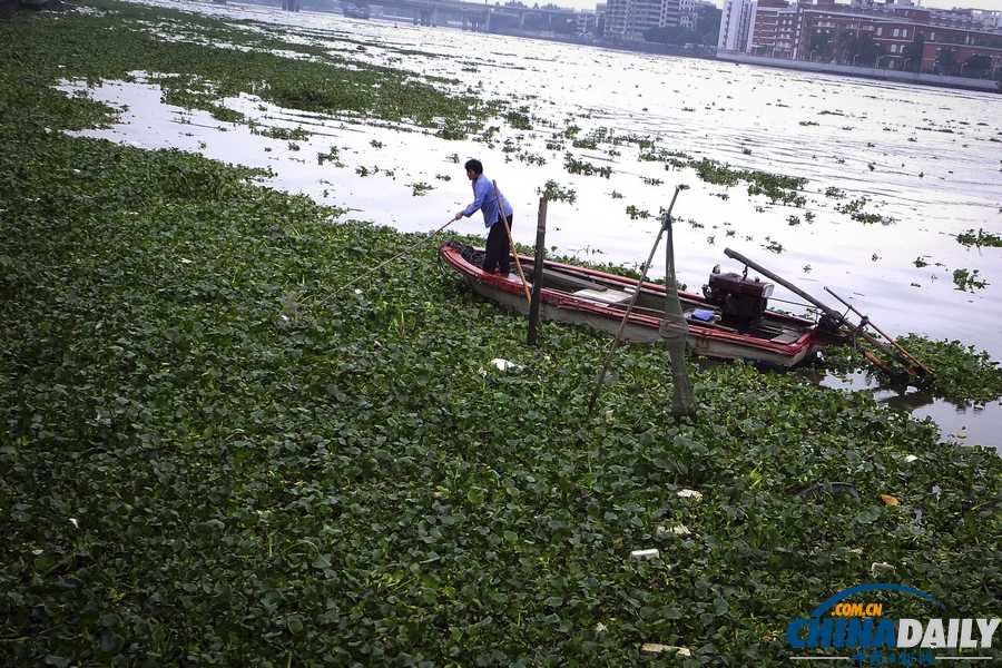 中国日报一周图片精选:5月6日-10日