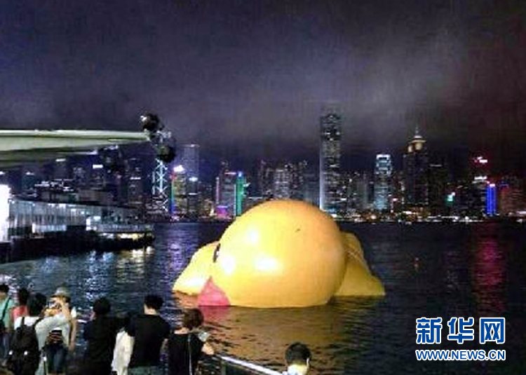 “小黄鸭”挂了 网友笑称“禽流感太强大了”
