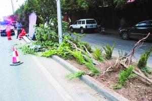 北京一公交为躲并线车撞上路牌 伤者无大碍