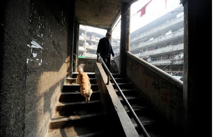 现实版猪笼城寨似古罗马斗兽场 摄影师镜头再现蜗居心酸(图)