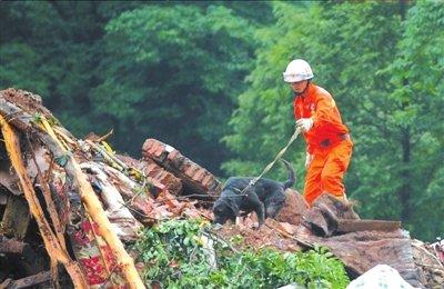 中兴镇人口_江油市雁门镇镇人口