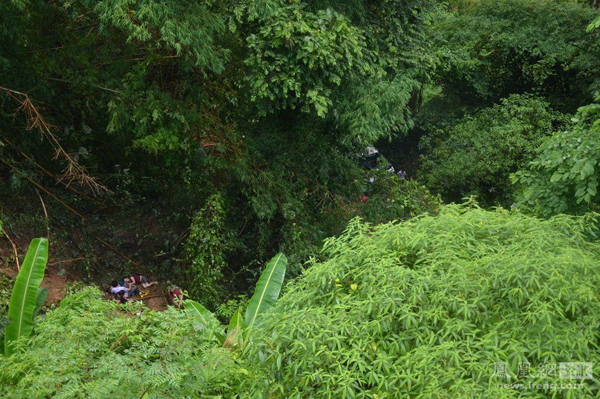 云南西双版纳1辆旅游大巴坠下山谷 已致8死