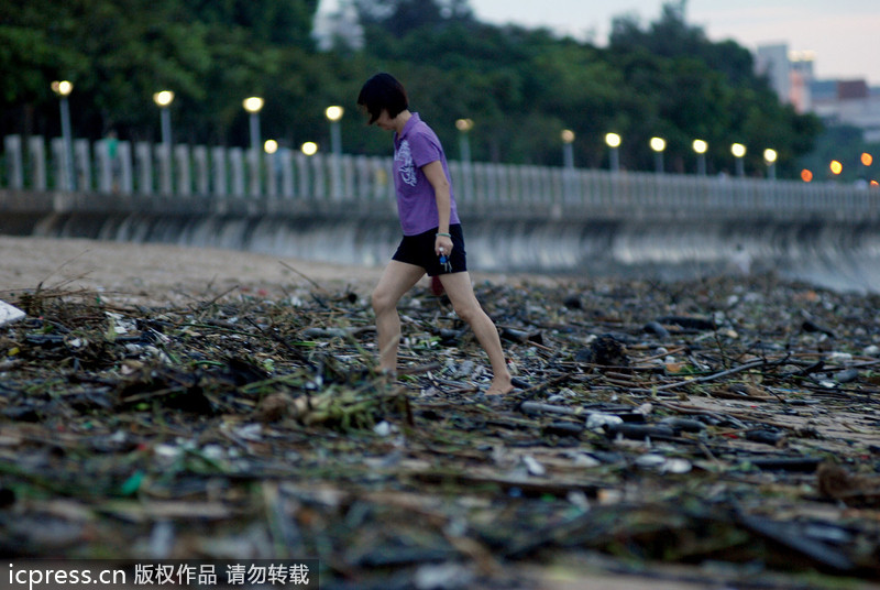 大批垃圾借台风苏力“入侵”厦门 海滩变“垃圾场”
