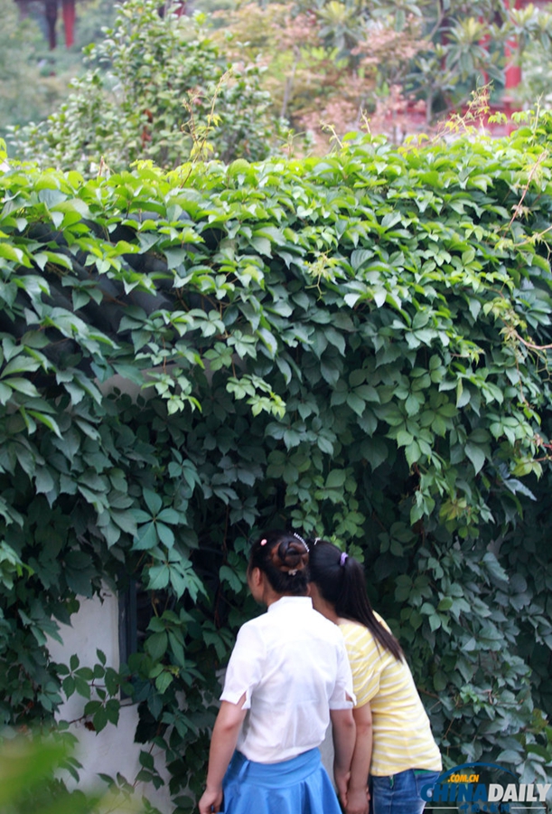 高清：郑州一公园每天只开4小时 闭园后变高档餐馆