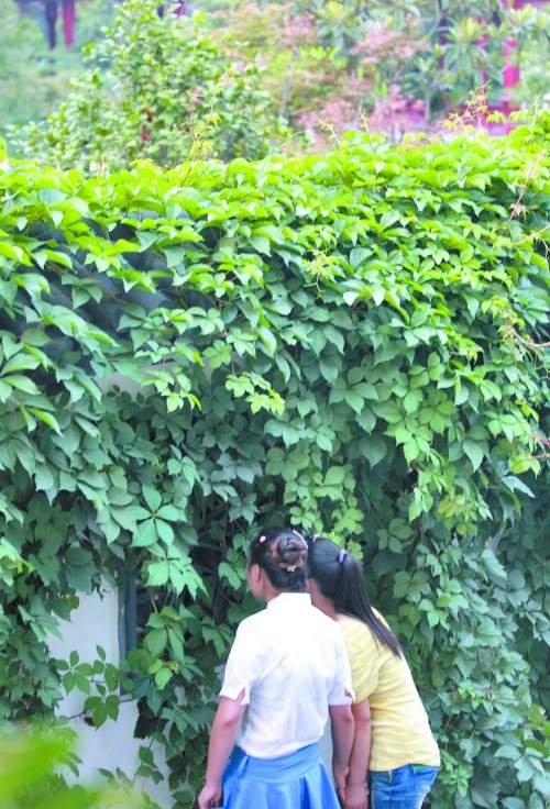 郑州一公园每天只开4小时 闭园后变高档餐馆（图）