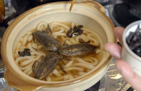 浙江流行吃知了 盘点中国人餐桌上的另类菜肴