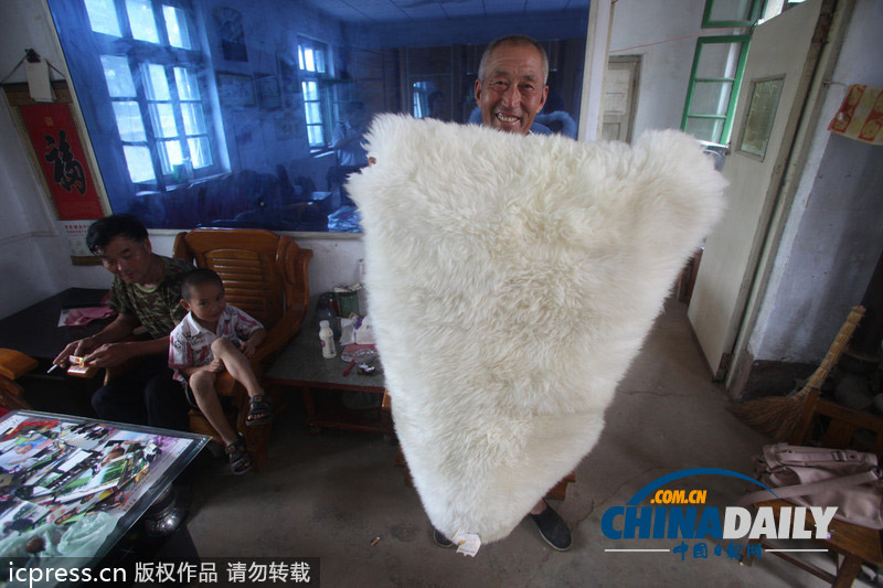 屌丝移民之路：济南百余农民凭电焊手艺变身“澳洲蓝领”拿绿卡