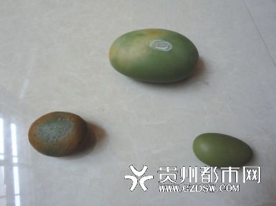 大山深处寻得3颗夜明珠