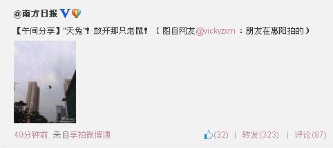 “天兔”！放开那只老鼠！