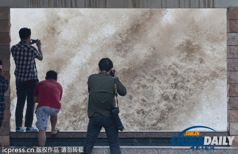 浙江温岭：台风”菲特“掀起巨浪 看潮人流涌动