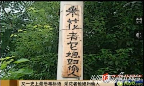 另类冲刺标语屌丝气息浓郁 盘点那些令人无语的奇葩标语(组图)