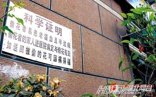 另类冲刺标语屌丝气息浓郁 盘点那些令人无语的奇葩标语（组图）