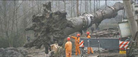 江西修水林业局付给天价千年乌木发现者7万余元