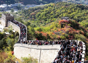 北京将下调中高考英语分值 小学三年级前不开