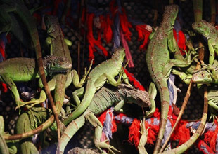 郑州航院女大学生拍毕业视频:姐妹 我们去哪儿