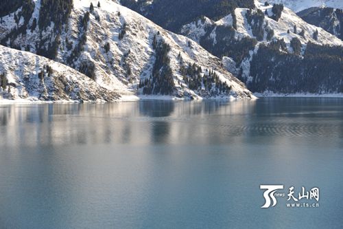 天山天池出现2只巨大不明生物 背鳍出水嬉戏游走