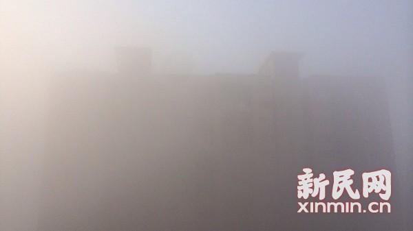 受大雾天气影响 上海两空港19出港航班取消(图)