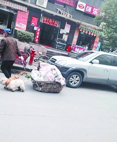 五旬老人街头拾荒 小狗甘当“苦力”帮其拉车(图)