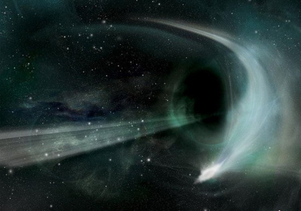 男子游动物园挑逗老虎 先摸屁股后对其大叫(图