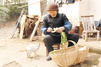 太湖八旬母亲34年如一日守护两精神残疾儿子