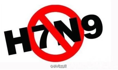H7N9不排除人传人 浙江12人感染死亡