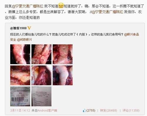 网友微博晒鲤鱼体内颗粒状“异物”遭吐槽：连鱼子都不认识