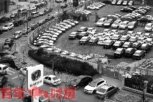 土豪为囤牌一次买百辆车 此前名下已有800多辆