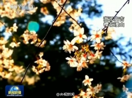 《新闻联播》预告彩蛋生动活泼 呼吁观众去拥抱春天