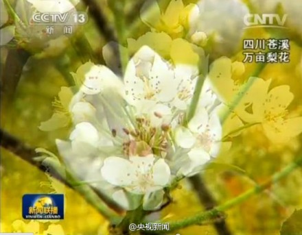 《新闻联播》预告彩蛋生动活泼 呼吁观众去拥抱春天