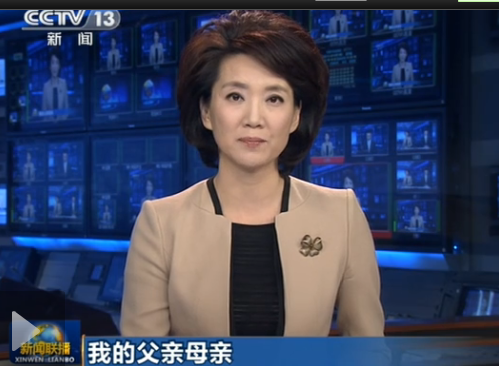 央视新闻联播播出寻人启事 四兄弟寻找走失母亲