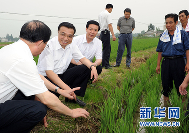 决策层密集调研考察 稳物价仍是调控首要任务