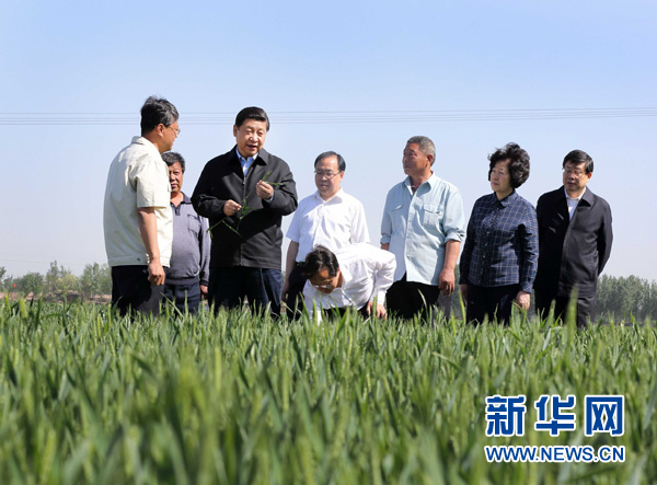 习近平在天津考察