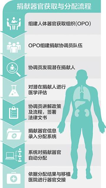 卫生部门成立器官获取组织 图解捐献流程（图）