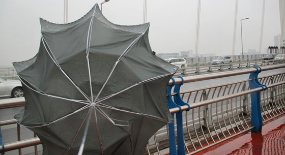 薄熙来受贿、贪污、滥用职权案判决书全文[1]