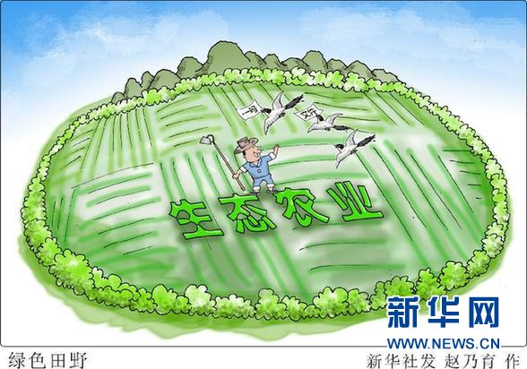 解读中央一号文件：饿肚子岁月不能忘