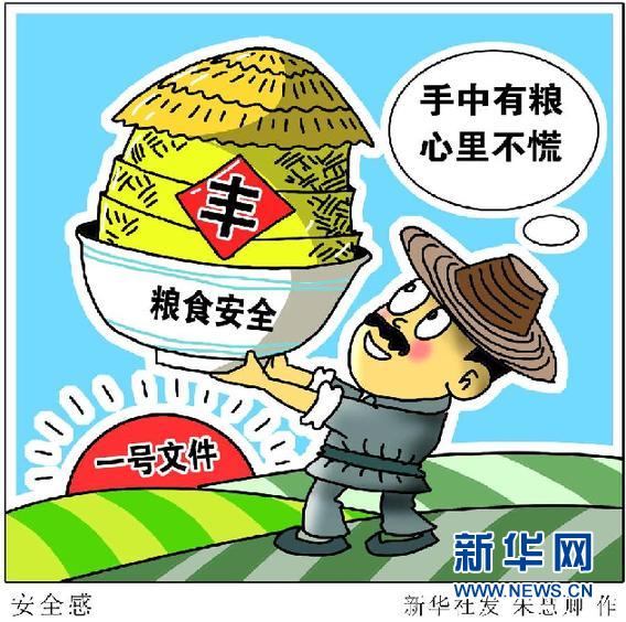 解读中央一号文件：饿肚子岁月不能忘