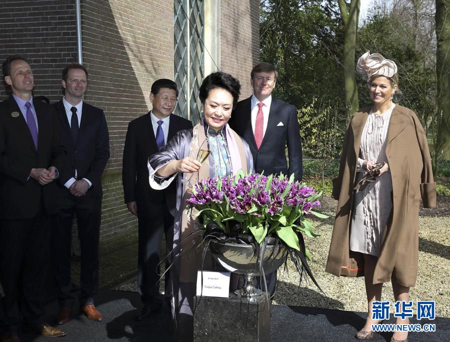 专家详解习近平外交服饰：体现大国领袖涵养与智慧