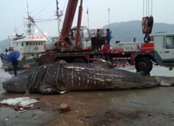 中央纪委组建组织部、宣传部是推进反腐败体制