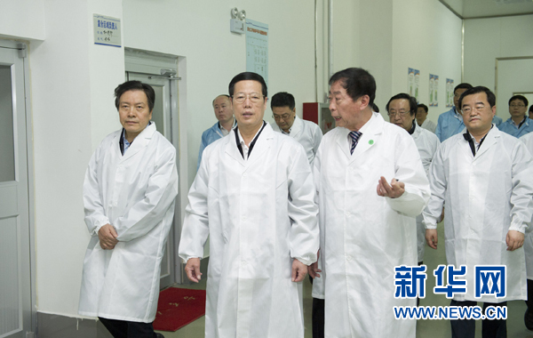 张高丽:坚持稳中求进改革创新 促进经济持续健康发展